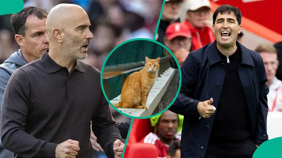 Nimbus Pronos predicts a draw as Liverpool prepare for Manchester City showdown